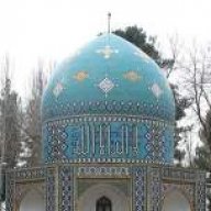 هادی83