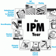 IPM
