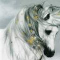 asbe sefid