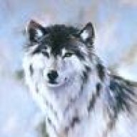 wolf2m