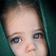 novin.omran