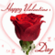 fariba_20