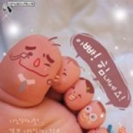 fereshteh_n