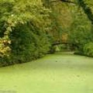 silver road