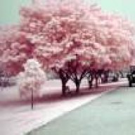 bahar.aein