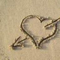 shadi_afshar