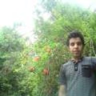 محمد قیصری