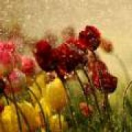 شانه های خاک