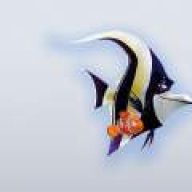 ابن سینا
