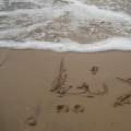 donya_sheyton