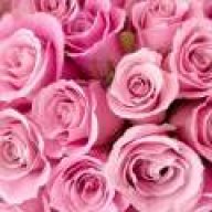 فرزانه12
