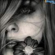 elham77v