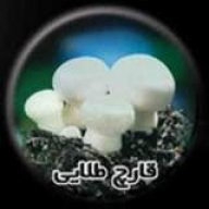 gharch_talaei