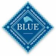 *Blueboy
