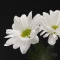 bahar.sep