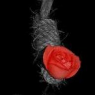 *زهرا*