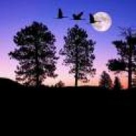 hasting_m