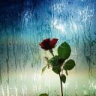 elham all