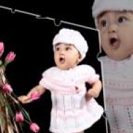 مائده م