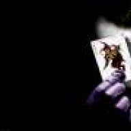 hamed_disa