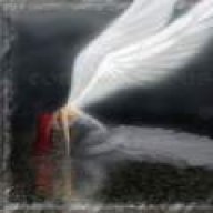 anis_jooni