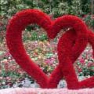 تسنیم باران