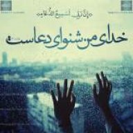 reza1001shab