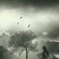 نیما حسینی
