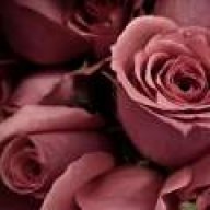 nazy fard