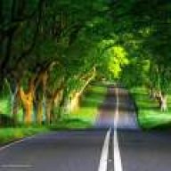 میترا یعقوبی