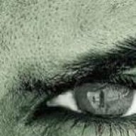 majid_emami