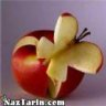 tavahom_v