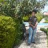 moghimi_1989