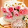 sima_rahimi69