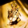 goldbeetle