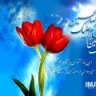 آشنای غریبه