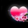 nvid