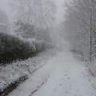 Snowandbarf