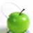 fariba_k