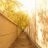 Mohsen_Archi