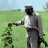Hamed_civil