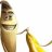 amirhossein_bm2