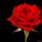 alireza_raha