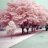 bahar.aein