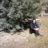 roya_t90