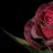 Meral
