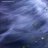shamim_2000
