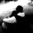 aran.h
